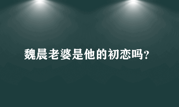 魏晨老婆是他的初恋吗？