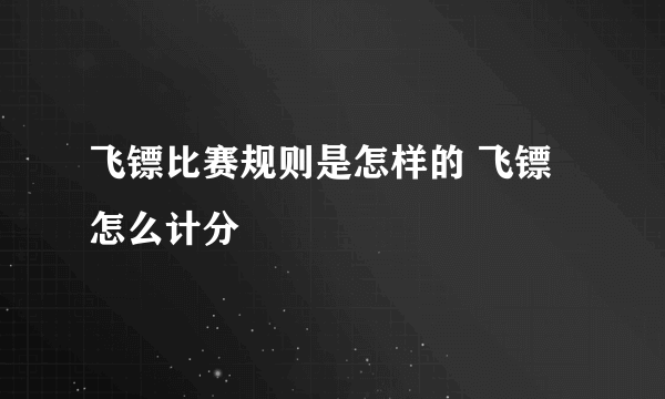 飞镖比赛规则是怎样的 飞镖怎么计分