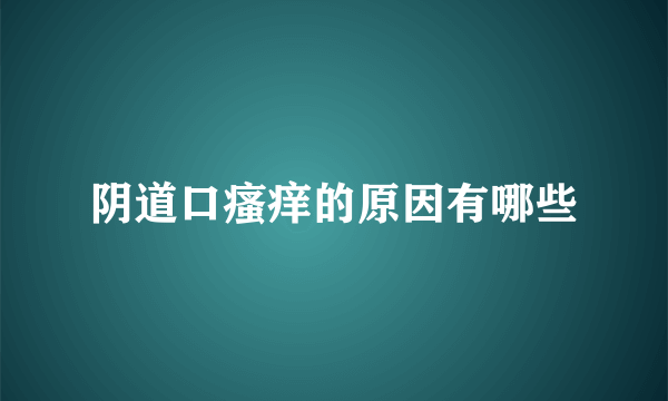 阴道口瘙痒的原因有哪些