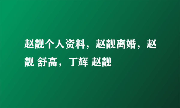 赵靓个人资料，赵靓离婚，赵靓 舒高，丁辉 赵靓