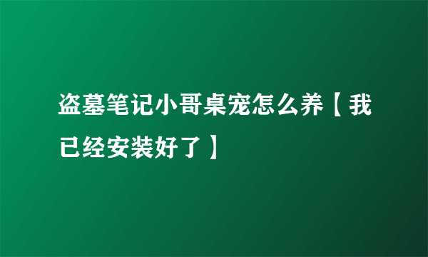 盗墓笔记小哥桌宠怎么养【我已经安装好了】