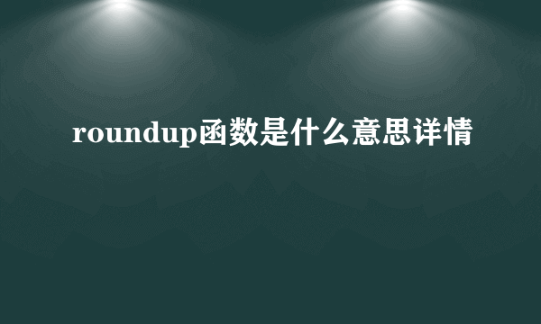 roundup函数是什么意思详情