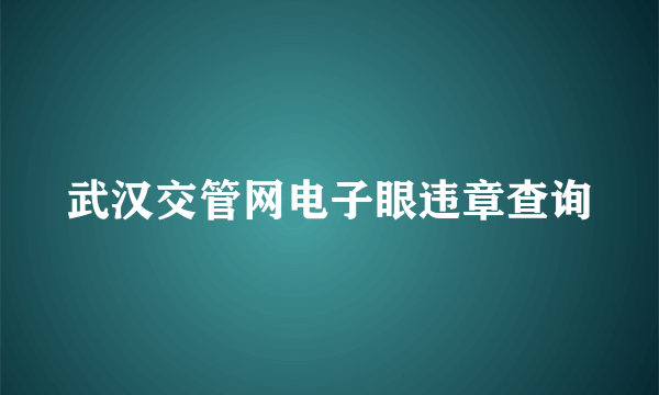 武汉交管网电子眼违章查询