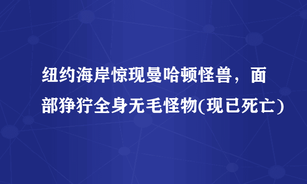 纽约海岸惊现曼哈顿怪兽，面部狰狞全身无毛怪物(现已死亡)