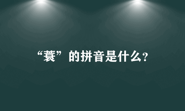 “蓑”的拼音是什么？