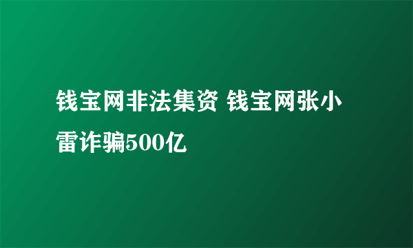 钱宝网非法集资 钱宝网张小雷诈骗500亿