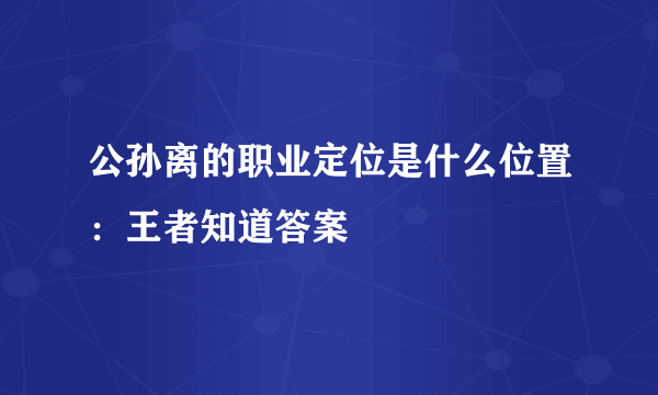 公孙离的职业定位是什么位置：王者知道答案