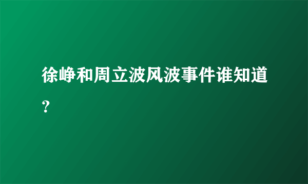 徐峥和周立波风波事件谁知道？