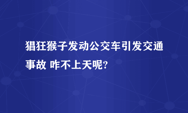 猖狂猴子发动公交车引发交通事故 咋不上天呢?