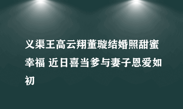 义渠王高云翔董璇结婚照甜蜜幸福 近日喜当爹与妻子恩爱如初