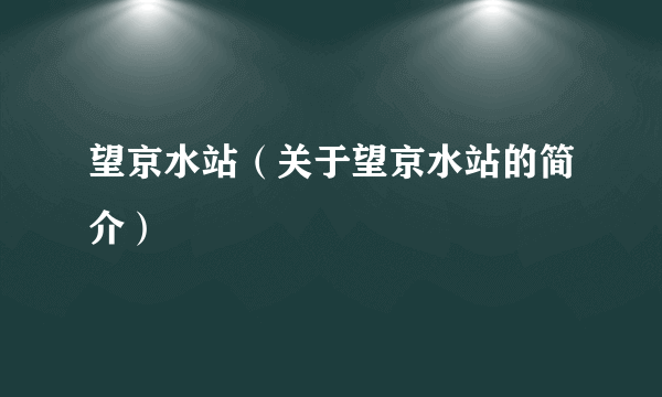 望京水站（关于望京水站的简介）