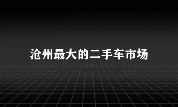 沧州最大的二手车市场