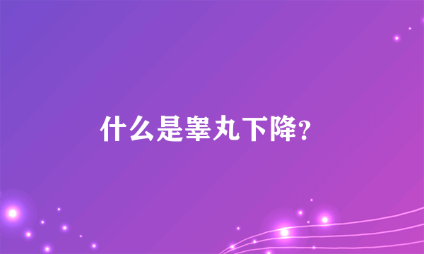 什么是睾丸下降？