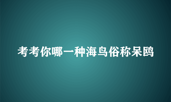 考考你哪一种海鸟俗称呆鸥