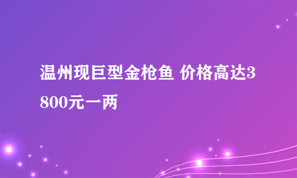 温州现巨型金枪鱼 价格高达3800元一两