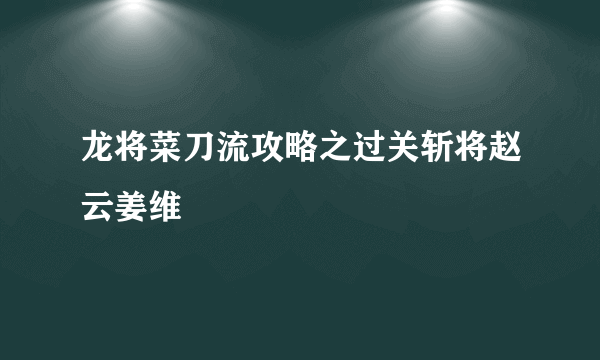 龙将菜刀流攻略之过关斩将赵云姜维