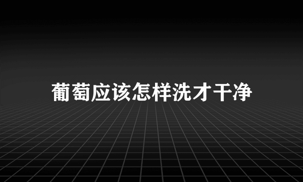 葡萄应该怎样洗才干净