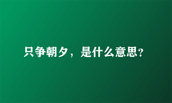 只争朝夕，是什么意思？