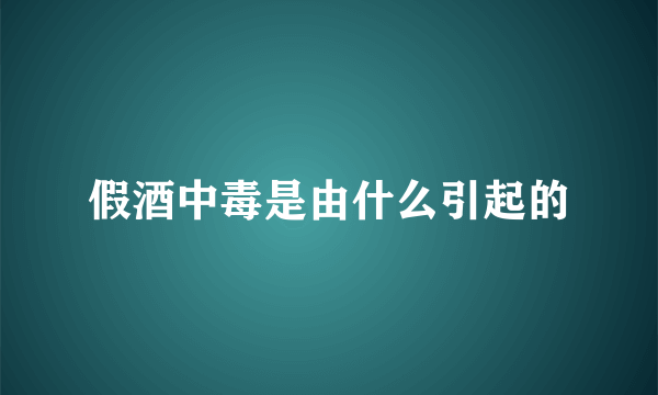 假酒中毒是由什么引起的