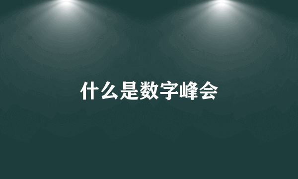 什么是数字峰会