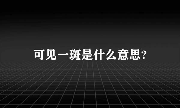 可见一斑是什么意思?