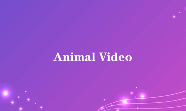 Animal Video