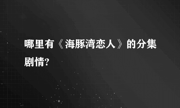 哪里有《海豚湾恋人》的分集剧情?