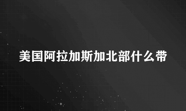 美国阿拉加斯加北部什么带