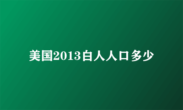 美国2013白人人口多少