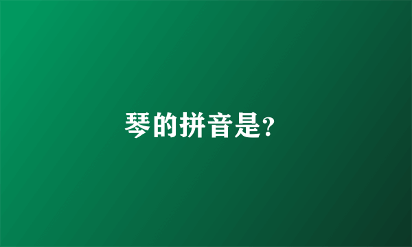 琴的拼音是？