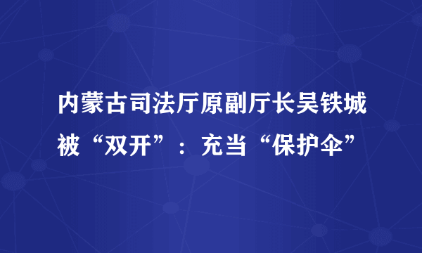 内蒙古司法厅原副厅长吴铁城被“双开”：充当“保护伞”