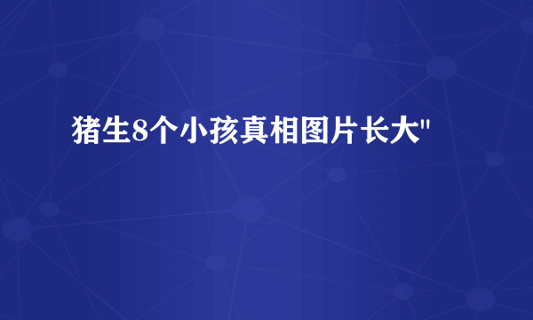 猪生8个小孩真相图片长大