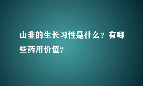 山韭的生长习性是什么？有哪些药用价值？