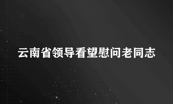 云南省领导看望慰问老同志