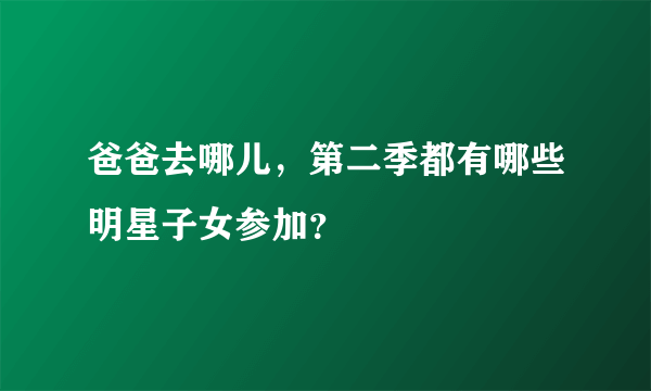 爸爸去哪儿，第二季都有哪些明星子女参加？