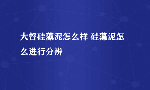 大督硅藻泥怎么样 硅藻泥怎么进行分辨