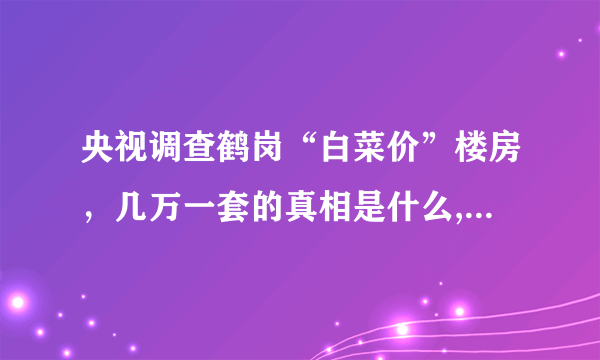 央视调查鹤岗“白菜价”楼房，几万一套的真相是什么, 你怎么看？