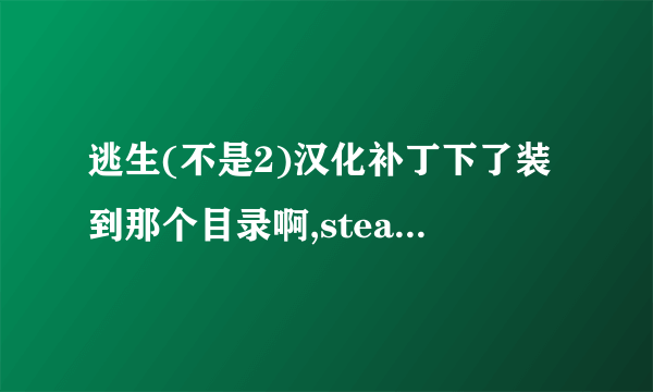 逃生(不是2)汉化补丁下了装到那个目录啊,steam正版的