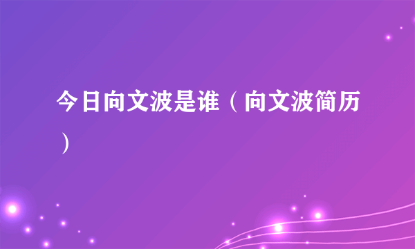 今日向文波是谁（向文波简历）