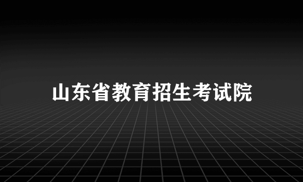 山东省教育招生考试院