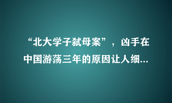 “北大学子弑母案”，凶手在中国游荡三年的原因让人细思极恐......-飞外网