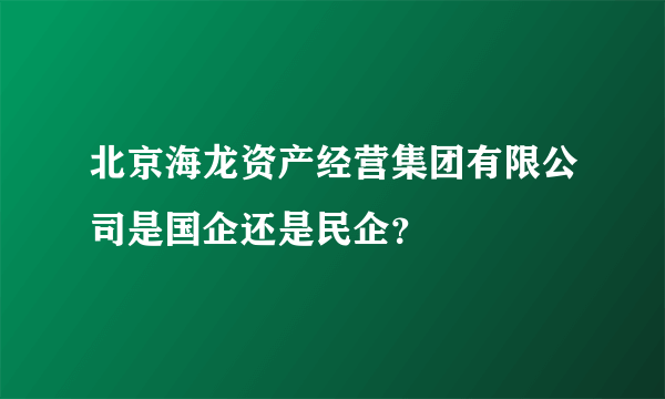 北京海龙资产经营集团有限公司是国企还是民企？