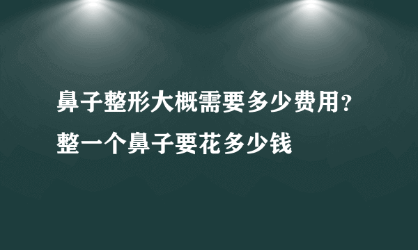 鼻子整形大概需要多少费用？整一个鼻子要花多少钱