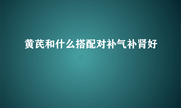 黄芪和什么搭配对补气补肾好