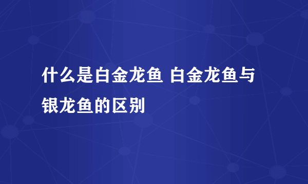 什么是白金龙鱼 白金龙鱼与银龙鱼的区别