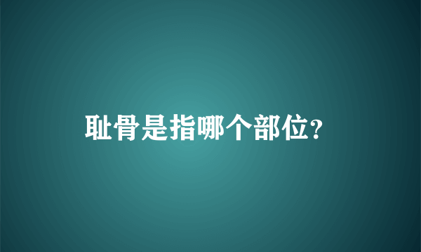 耻骨是指哪个部位？