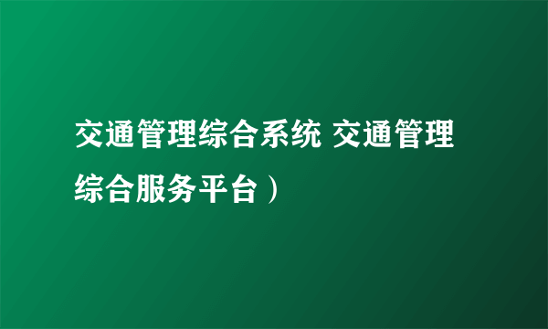 交通管理综合系统 交通管理综合服务平台）