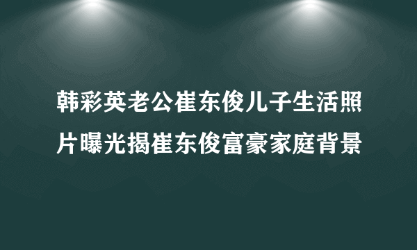 韩彩英老公崔东俊儿子生活照片曝光揭崔东俊富豪家庭背景