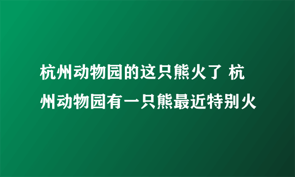 杭州动物园的这只熊火了 杭州动物园有一只熊最近特别火