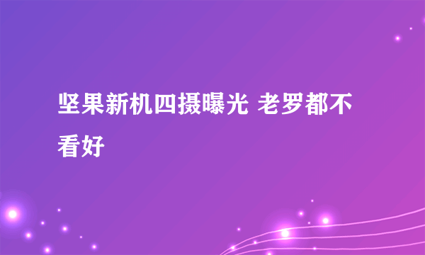 坚果新机四摄曝光 老罗都不看好